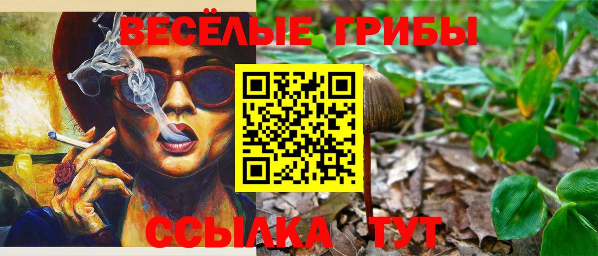 Псилоцибиновые грибы мицелий  Вход с VPN  Кирово-Чепецк  Псилоцибиновые грибы Psilocybine cubensis 